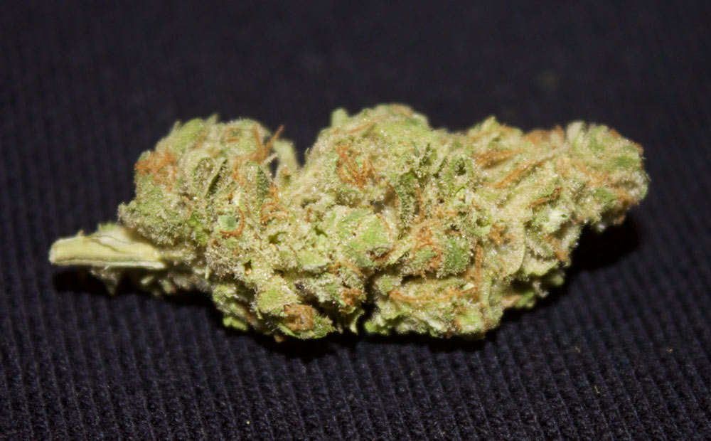 Snozzberry strain, marijuana review