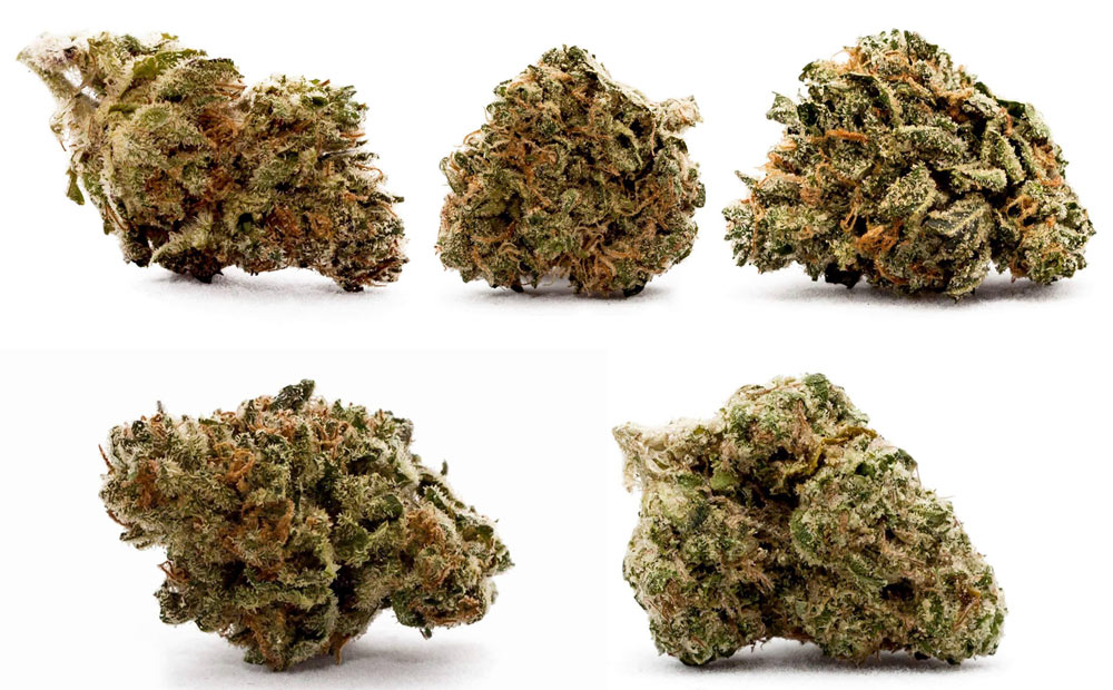 Willie Nelson weed: Willie's Reserve strains