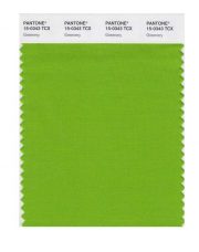 A sample of Pantone color of year for 2017: Greenery