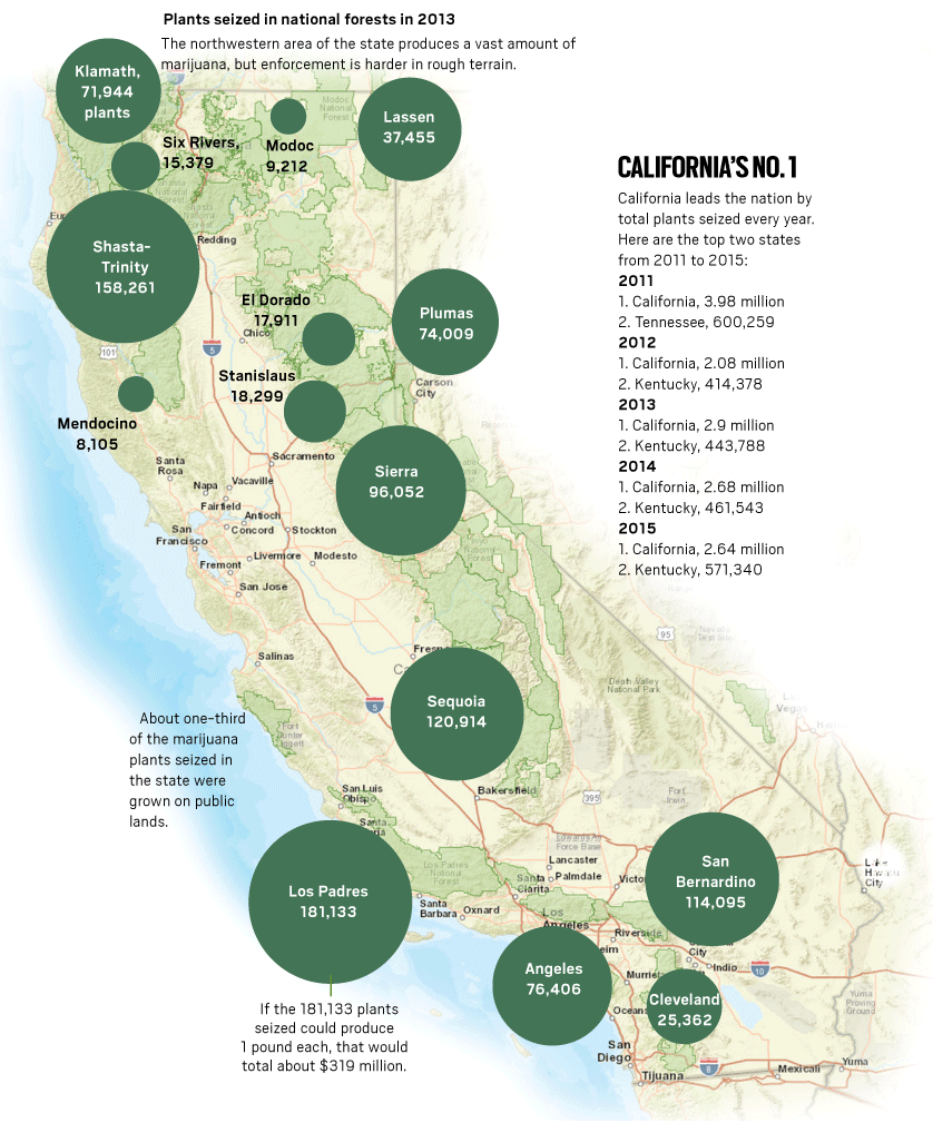 California map of marijuana production