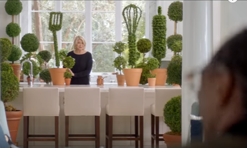 martha stewart and snoop dogg in T-Mobile ad