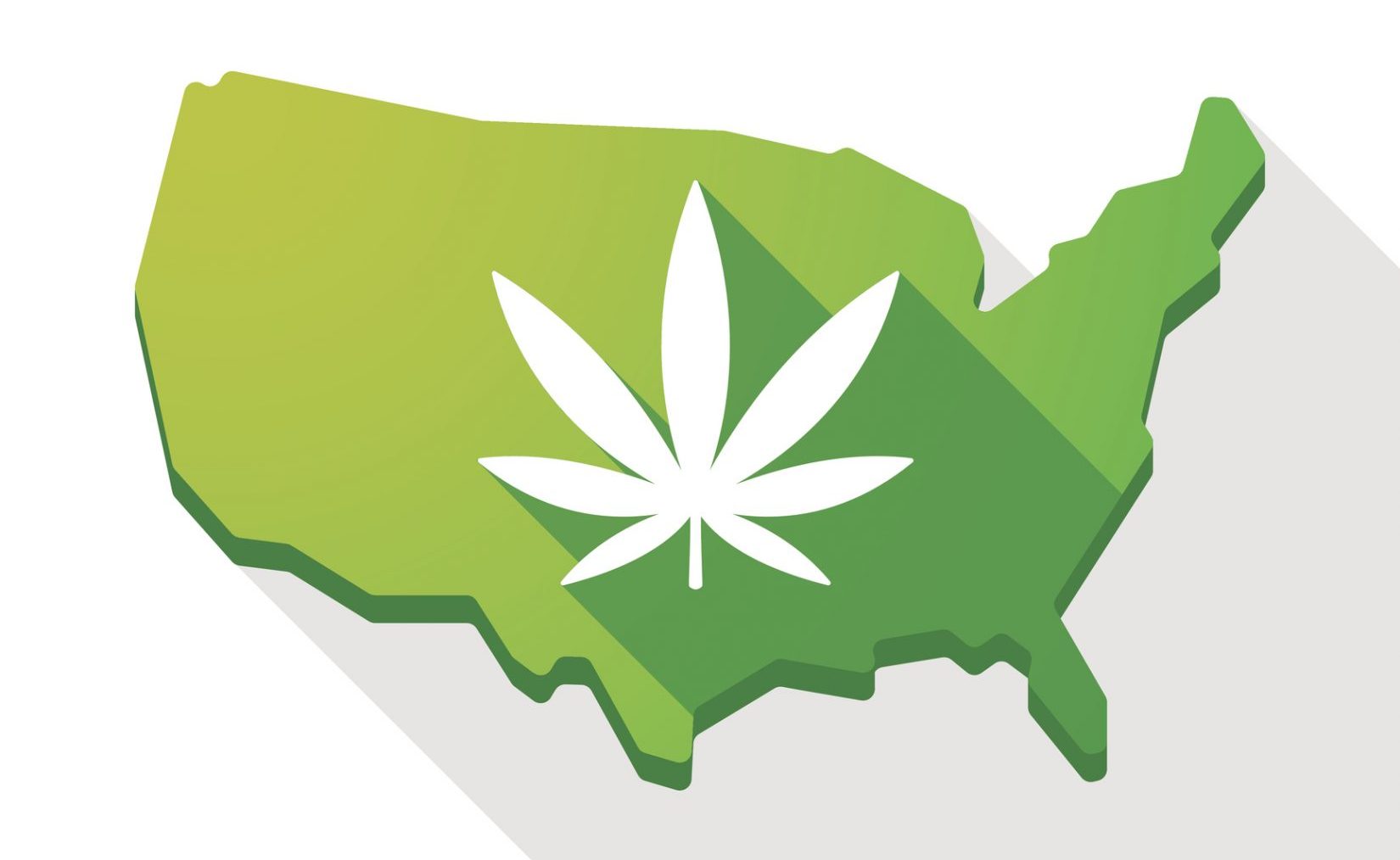 USA map icon with a marijuana leaf