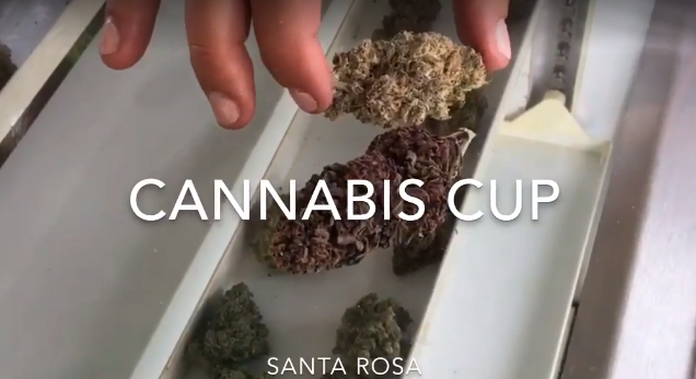 2017 High Times Nor Cal Cannabis Cup