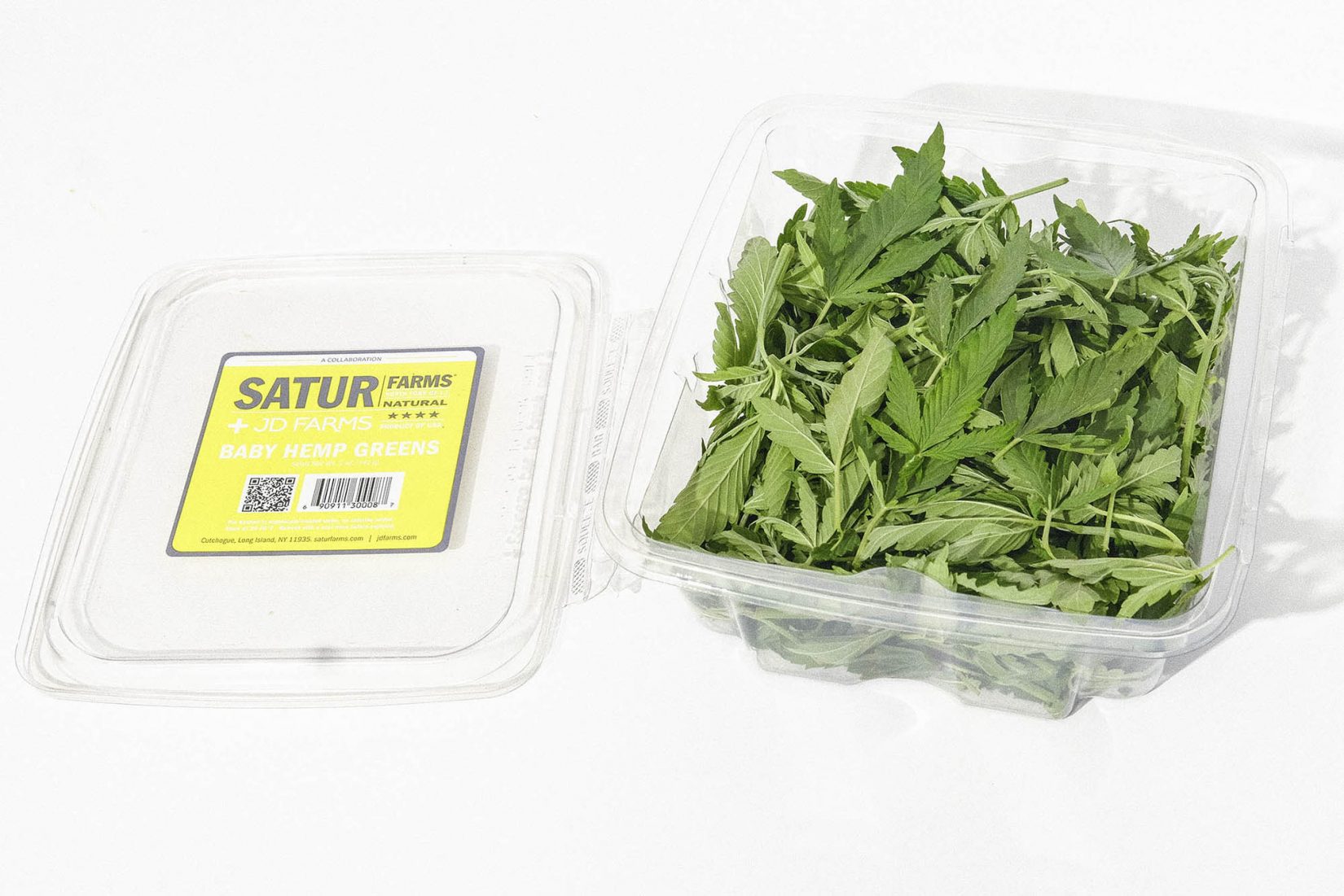 Hemp foods: Salad greens made of hemp leaves
