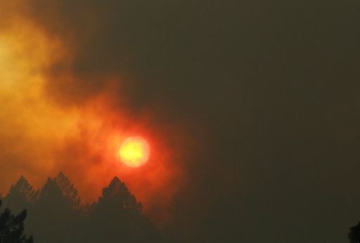Northern California marijuana harvest outlook after wildfires