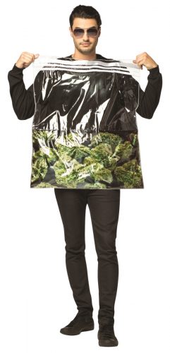 Bag of Weed Costume