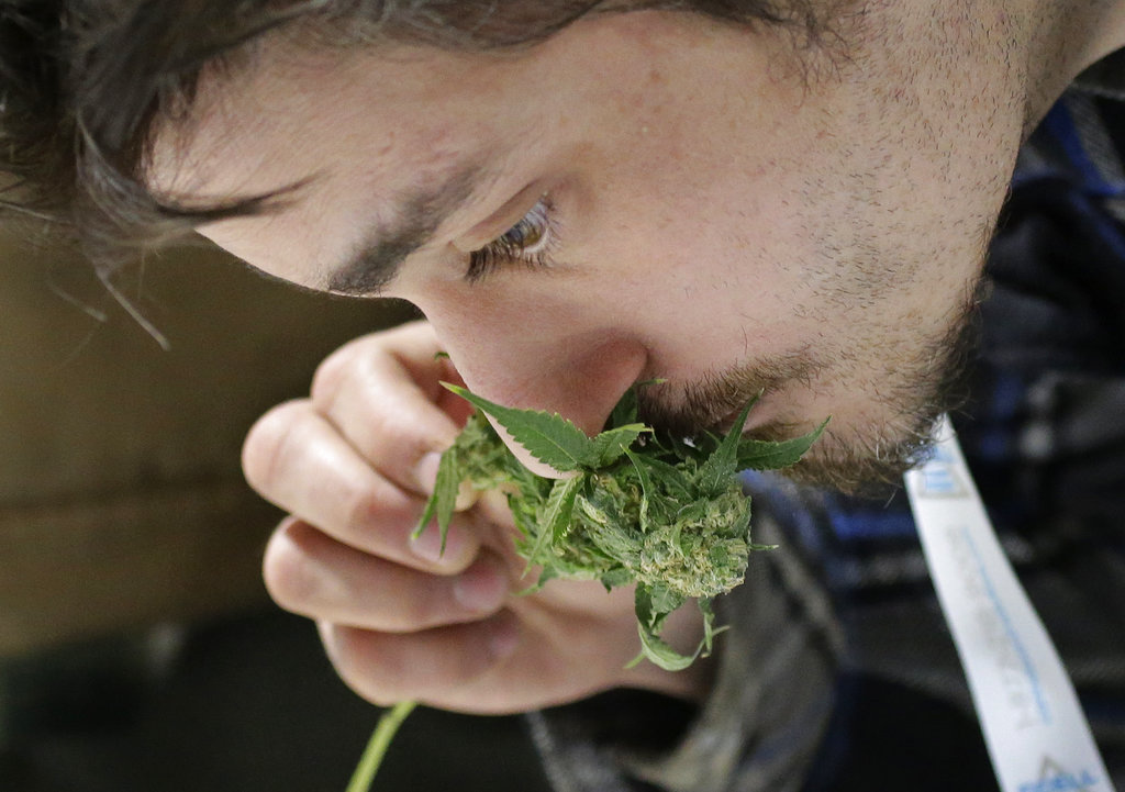 A man smells a marijuana sample at the New England Cannabis Convention, Sunday, March 25, 2018, in Boston.