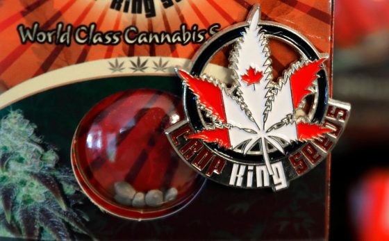 Medible review Canada Marijuana Legalization 72467 1